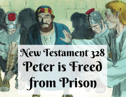 NT 328 - Peter is Freed from Prison